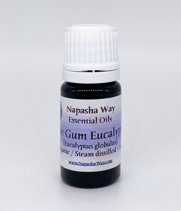 5ml-blue-gum-eucalyptus